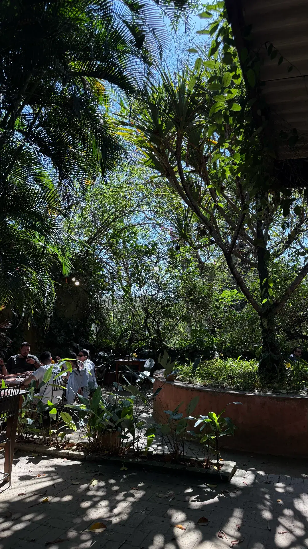 Café Maritaka - Foto 3