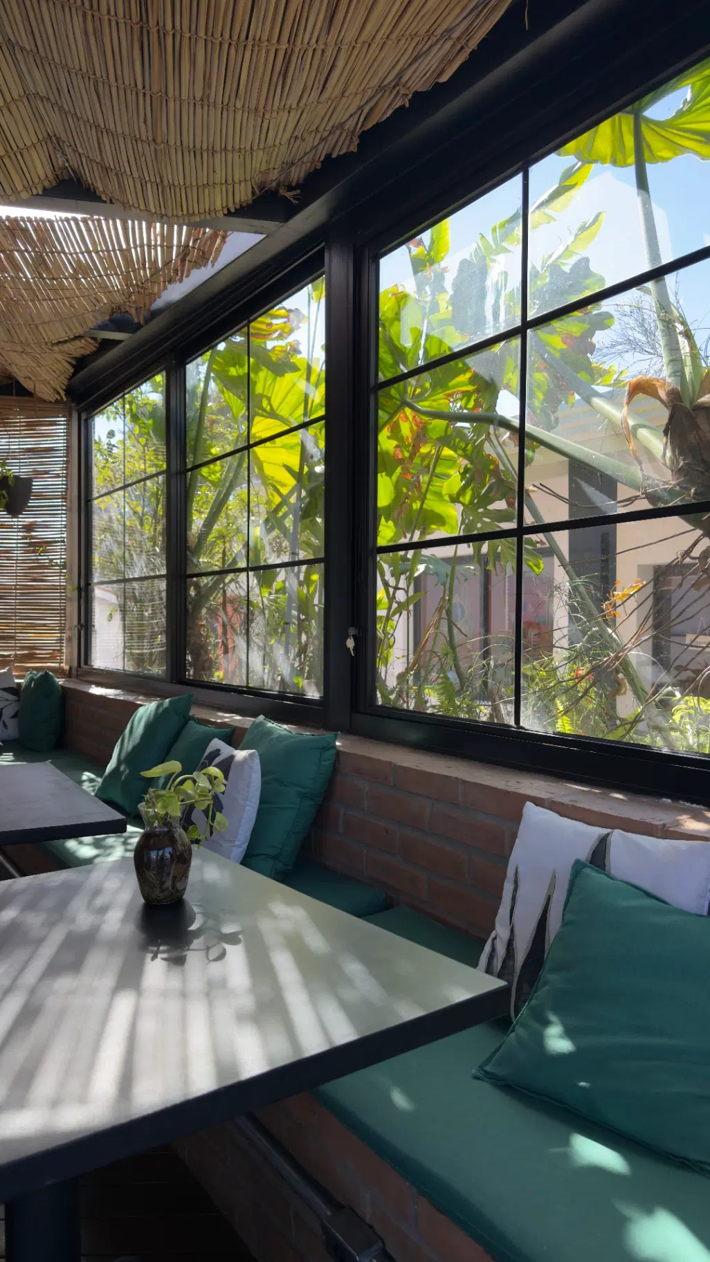 Cooltive • Café e Plantas - Foto 4