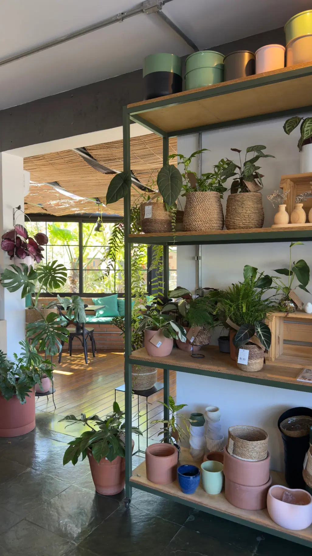Cooltive • Café e Plantas - Foto 9