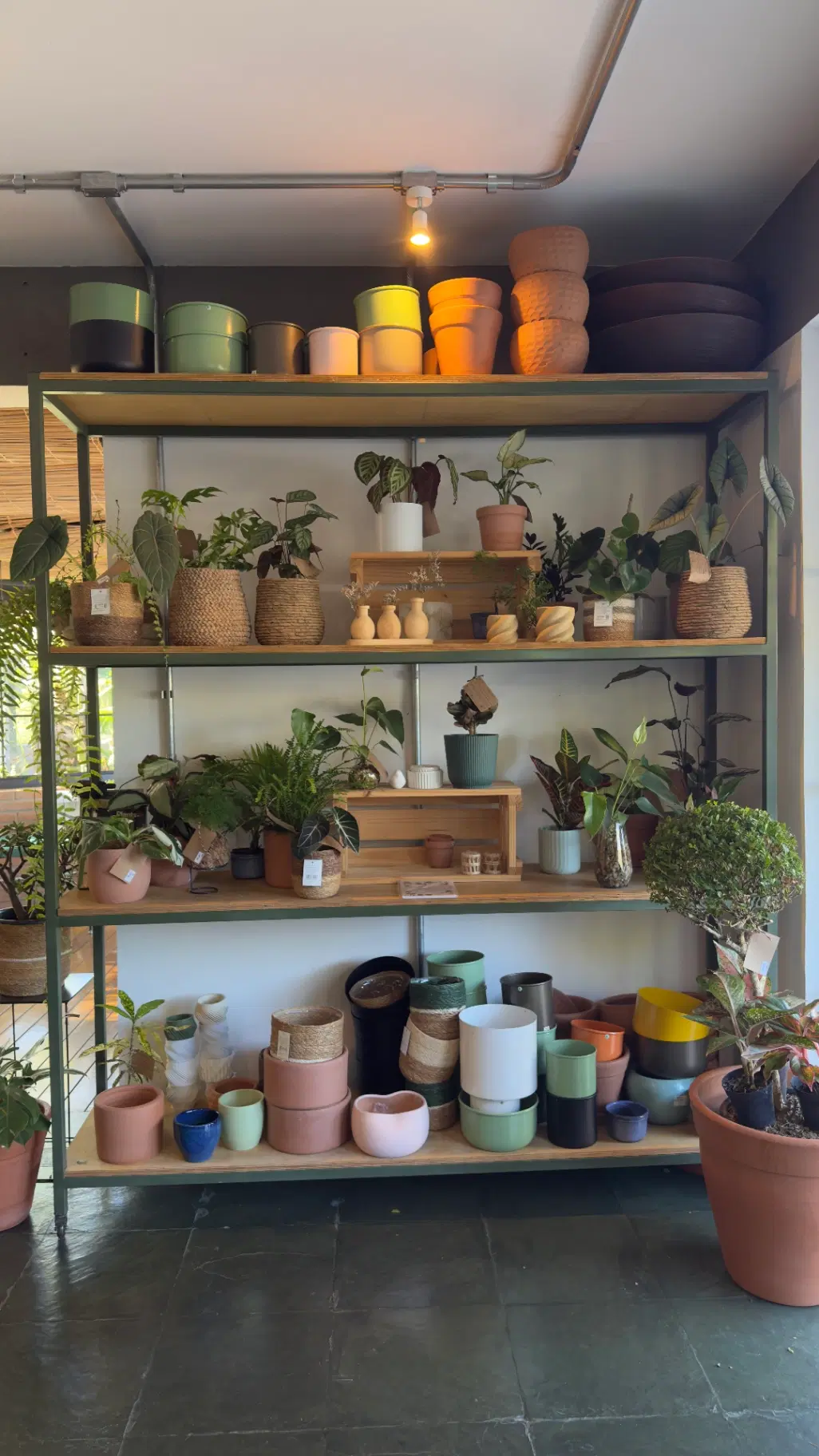 Cooltive • Café e Plantas - Foto 10