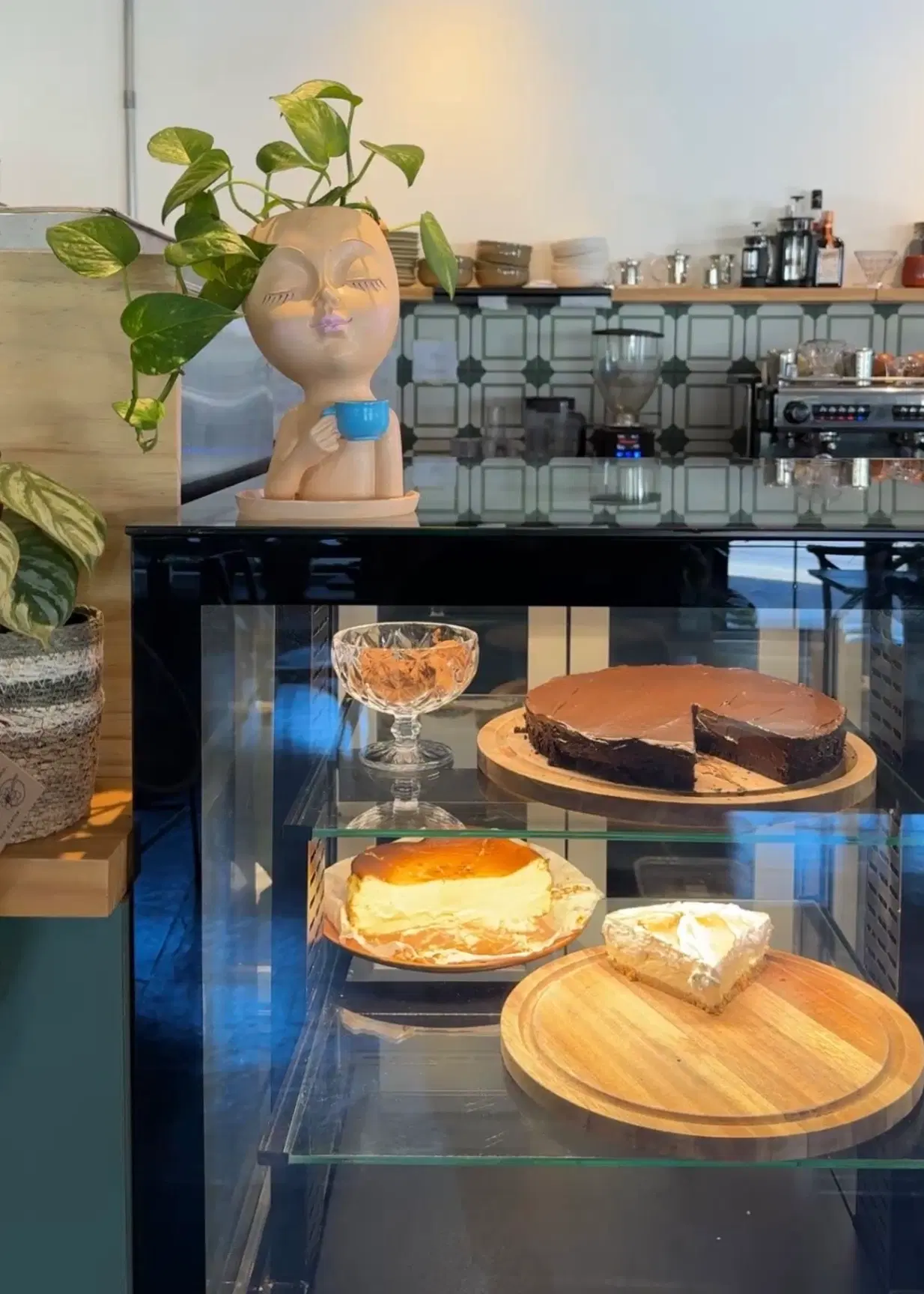 Cooltive • Café e Plantas - Foto 7