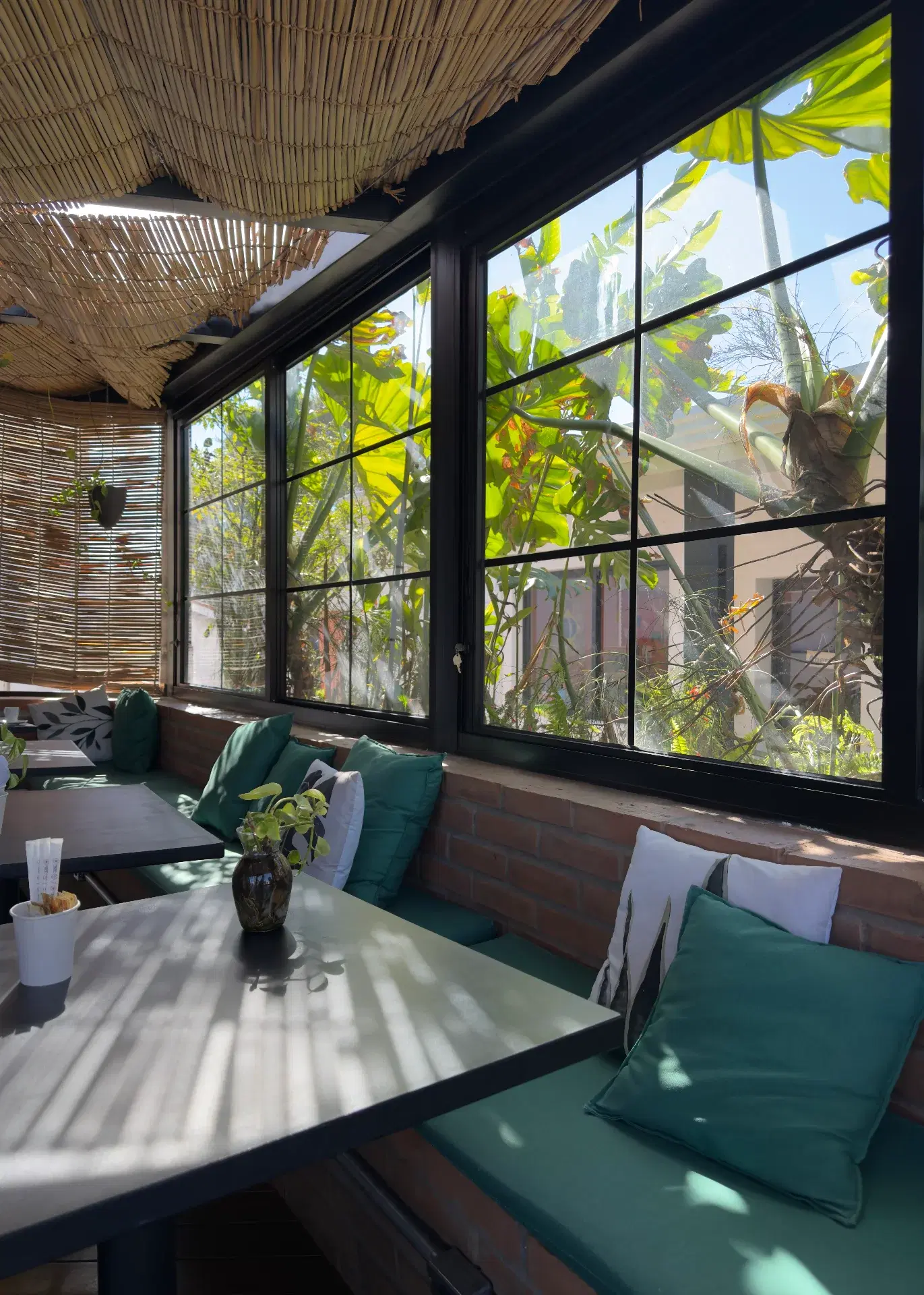 Cooltive • Café e Plantas - Foto 10