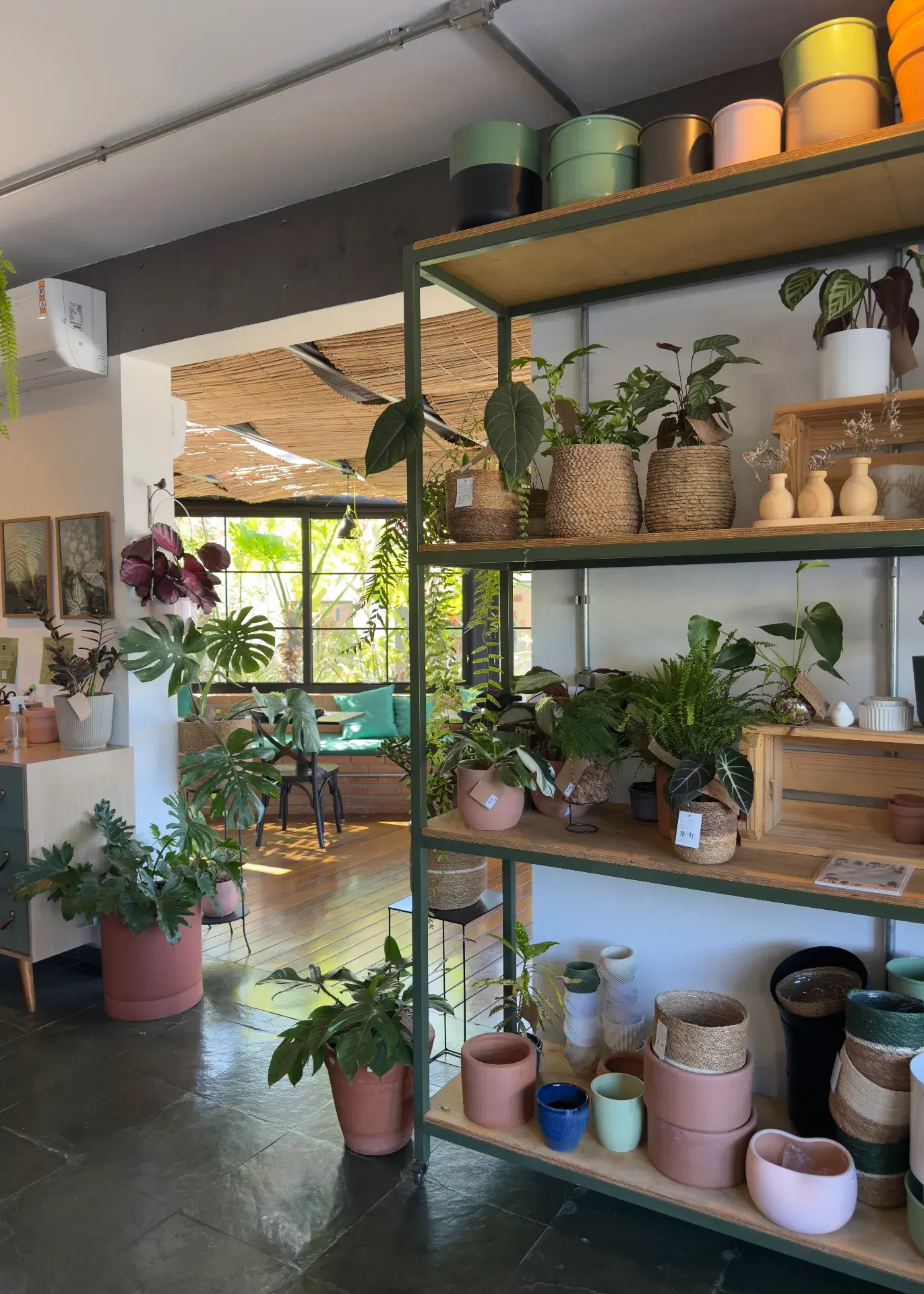 Cooltive • Café e Plantas - Foto 6
