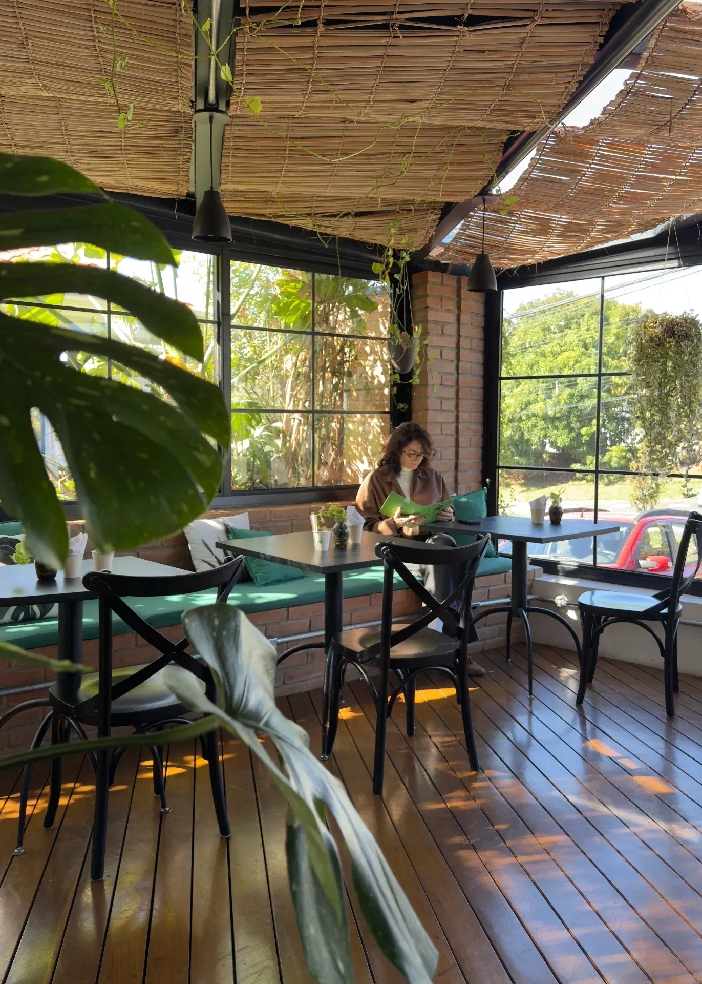 Cooltive • Café e Plantas - Foto 11