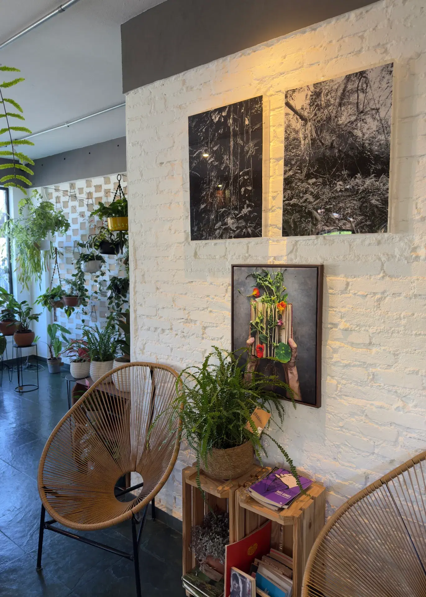 Cooltive • Café e Plantas - Foto 4