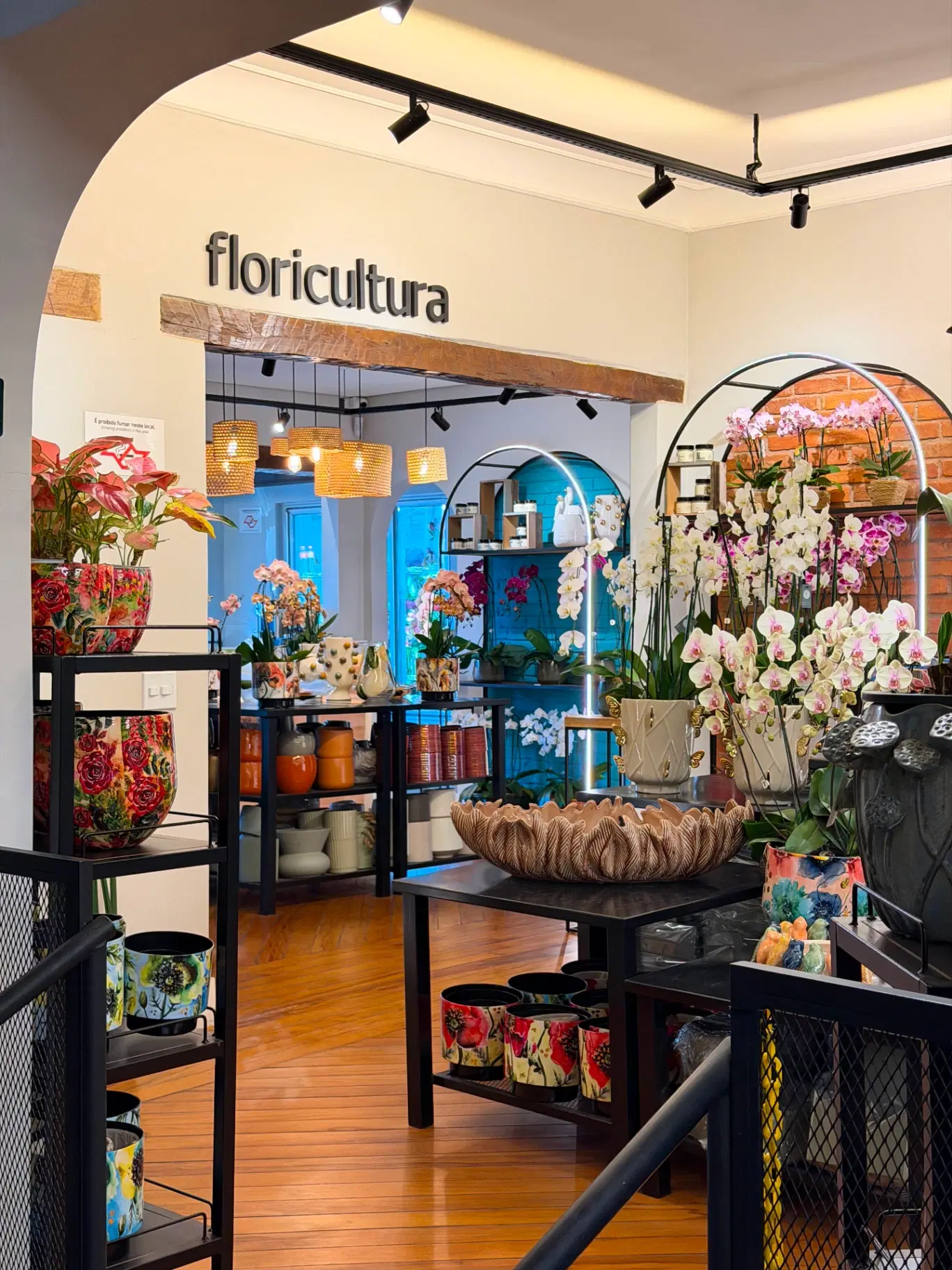 Frutaria Cambuí - Foto 7