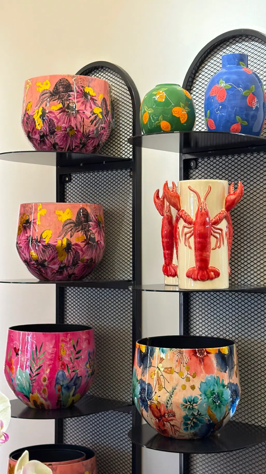 Frutaria Cambuí - Foto 12