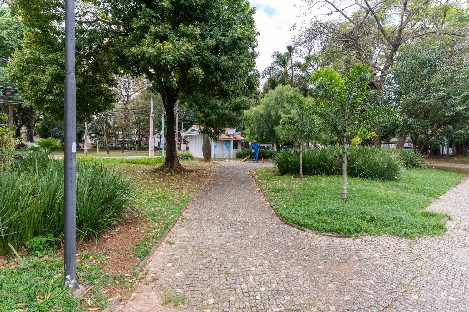 Cambuí - Foto 10