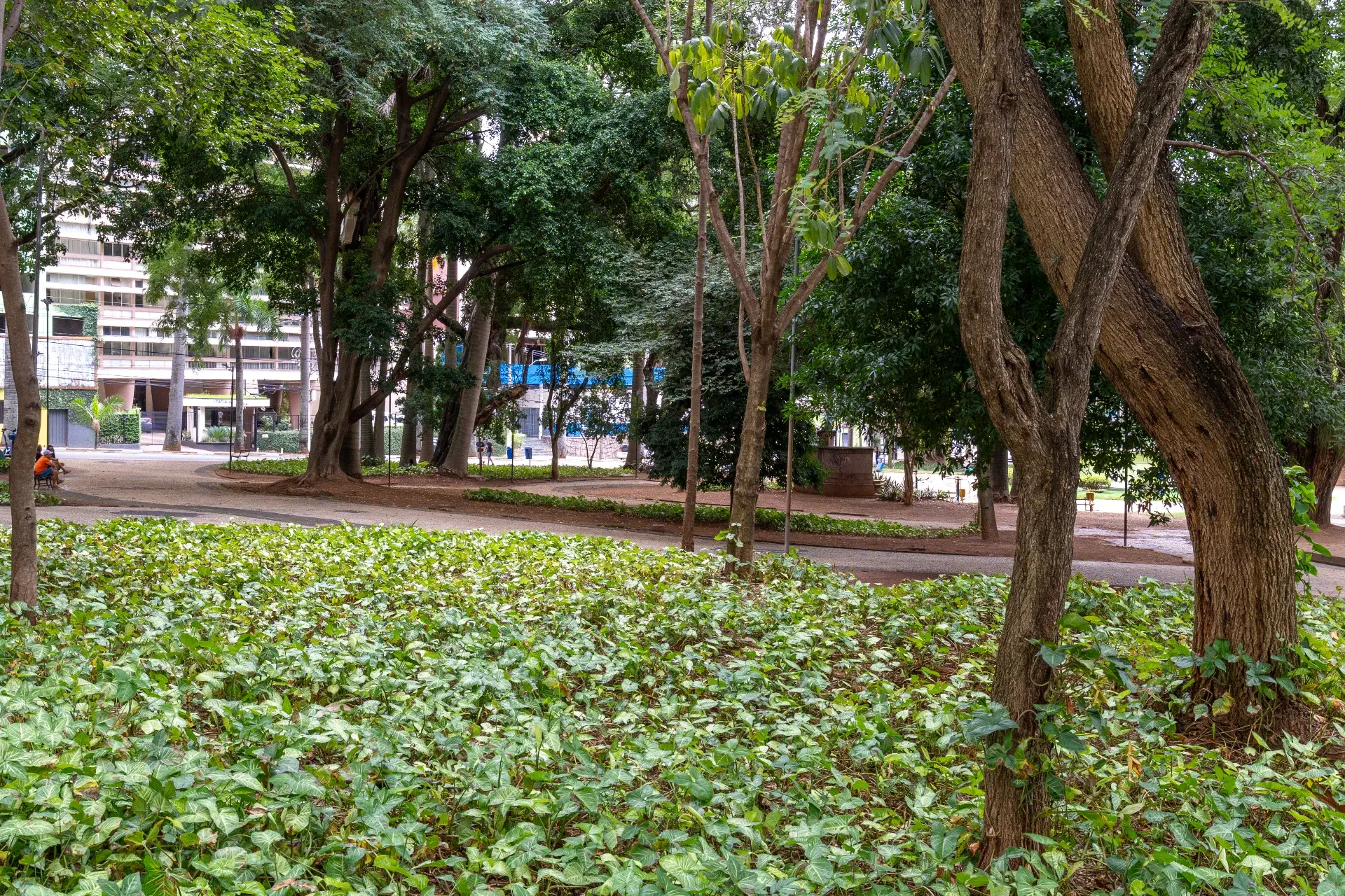 Centro - Foto 4