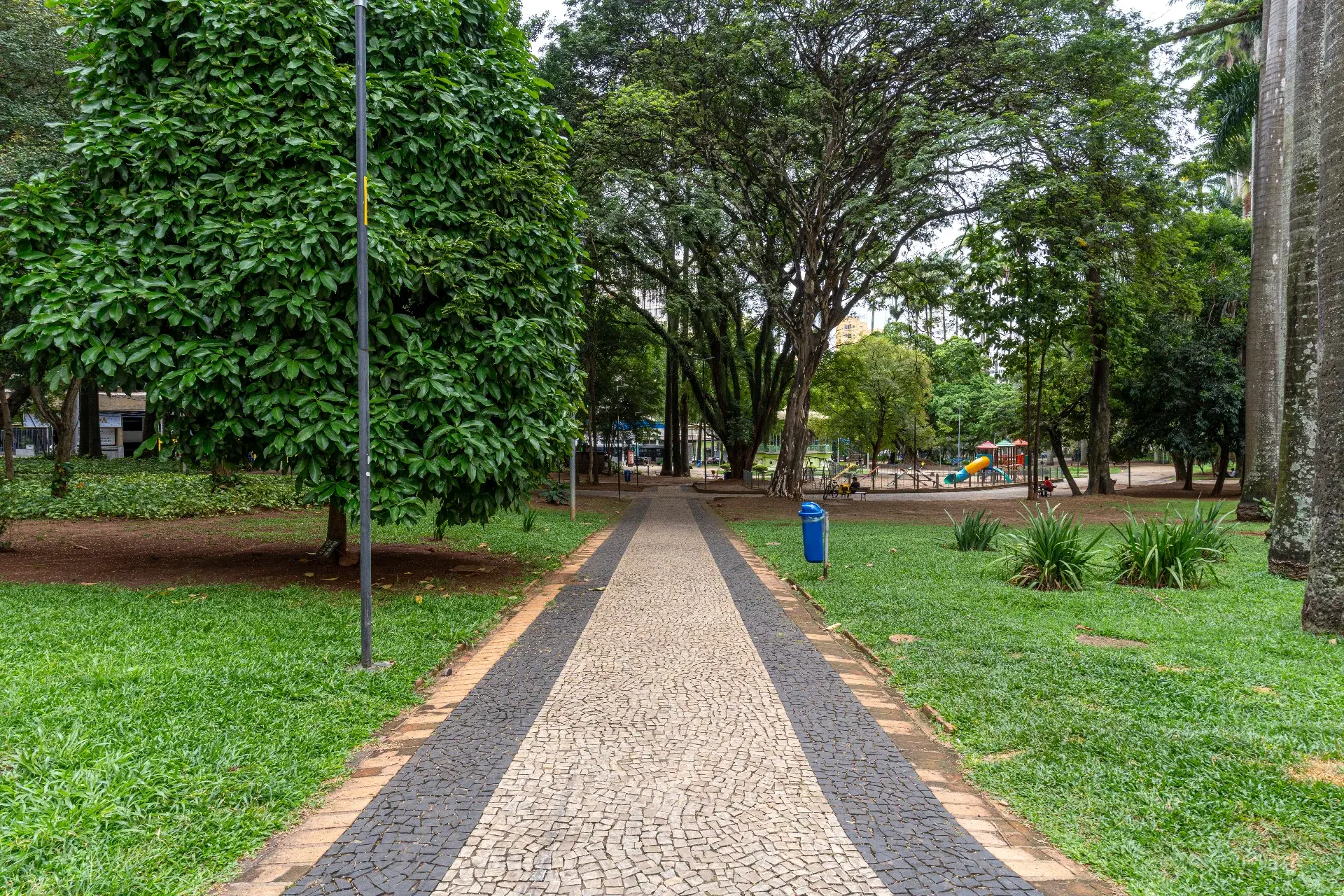 Centro - Foto 3